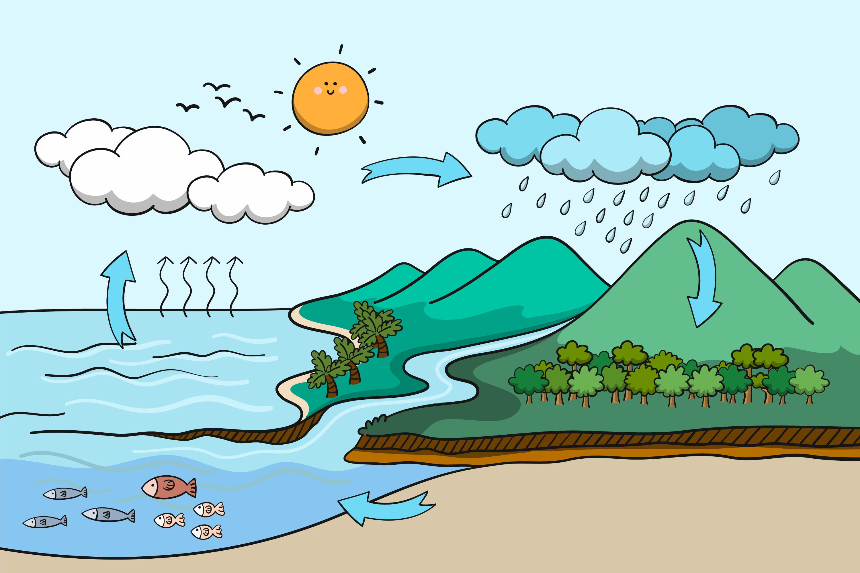 El viaje del agua: aprendemos jugando con El Aljibe